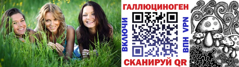 Псилоцибиновые грибы Cubensis Кирсанов